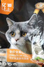 亿迪  猫粮全价成猫幼猫国产蓝猫布偶流浪猫全阶段20斤 实拍图