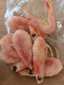 禧美海产 头籽北极甜虾2斤/盒 90/120 头籽率参考95%  爱沙尼亚甜虾 实拍图