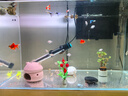 创宁鱼缸加热棒300W适合100-200L水量双控温自动恒温加温棒石英加热器 实拍图