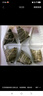 五芳斋粽子 蛋黄猪肉粽140g*10只 端午节 嘉兴棕子特产送礼 2.8斤 实拍图