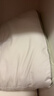 艾薇决明子磁石硬枕头枕芯护颈椎助睡眠 一只装 水绿 48*74cm 实拍图