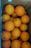 京鲜生 广西皇帝柑/贡柑 净重5斤 单果100g起 生鲜水果年货礼盒 实拍图
