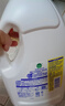 滴露（Dettol）衣物除菌液 消毒液 柠檬3L 99.9%杀菌除螨内衣儿童衣物可配洗衣液 实拍图