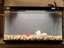 森森金麟超白玻璃鱼缸一体缸自循环客厅小型家用水族箱LE-480B 实拍图