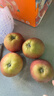 京鲜生 云南昭通丑苹果 4粒尝鲜装  单果130g起 新鲜水果  实拍图