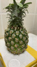 广东徐闻香水菠萝新鲜水果生鲜热带孕妇水果整箱包邮 【限时低价】1个装  单果650g起 实拍图