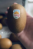 佳沛（zespri）新西兰 阳光金奇异果12粒礼盒特大果单果约122-146g 猕猴桃 水果 实拍图