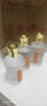 迎驾贡酒（YJGJ） 【官方】金星 品鉴小酒 白酒 浓香型 42度 75mL 1瓶 实拍图