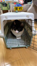 腆宠  宠物航空箱小号 猫咪航空箱猫狗 猫包猫笼外出车载猫箱狗狗托运 实拍图