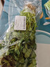 带根香菜100g 实拍图