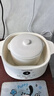 九阳（Joyoung）电炖盅 电炖锅 隔水炖煮 家用煮粥煲汤锅燕窝炖盅4.5L白瓷内胆炖汤锅上蒸下炖DG25G-GD188 实拍图