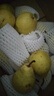 京地达烟台太婆梨软梨净重5斤单果130g新鲜香蕉大头啤酒梨 源头直发包邮 实拍图
