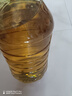 欧丽薇兰 Olivoila【保真橄榄油】食用油 橄榄油 压榨纯正橄榄油5L  实拍图