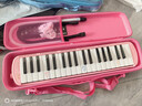 奇美37键专业级马卡龙色学生成人口风琴（马卡龙蓝、赠音符贴及吹管） 实拍图