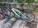 永久山地自行车成人山地车学生铝合金变速油碟刹内走线男女士单车赛车 辐条/炫彩粉【京仓发货 加厚车座】 26寸【适合：155-185cm】 24速【定位变速器】 实拍图