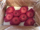 京鲜生 烟台红富士苹果 净重8斤  单果230g起 水果礼盒 实拍图