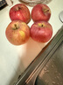 旭霁云南冰糖心丑苹果时令 苹果水果新鲜纯甜富士整箱礼盒装 净重5斤高山果园家庭装 中果70-80mm 实拍图