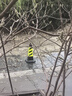 腾驰 雪糕桶禁止停车桩警示牌 橡胶反光路障锥隔离墩雪糕筒 4斤黄黑 实拍图