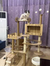 唐米吉吉加粗大型猫爬架猫窝猫树一体太空舱猫架子小户型不占地剑麻猫玩具 【肥猫无忧】176cm猫别墅-B58 实拍图