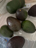 京鲜生 智利进口牛油果 大果6粒装(非即食)单果重130g起 生鲜水果 实拍图