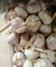 食尚半岛山东金乡鱼台大蒜农家自种干蒜新鲜蔬菜紫皮批发多瓣祘头当季 【中果】精品大蒜2斤 实拍图