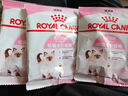 皇家宠物猫粮 幼猫猫粮K36-适用于12月龄50g*3 实拍图