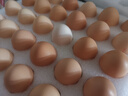 京鲜生 无抗保洁鲜鸡蛋30枚/盒 健康轻食 礼盒送礼 1.5kg/盒 源头直发 实拍图