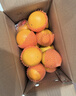 京觅秭归九月红果冻橙爆汁橙子净重7斤单果170g+新鲜水果源头直发包邮 实拍图