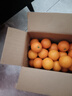 天乐优选麻阳冰糖橙新鲜橙子水果当季整箱果冻甜橙手剥橙子爆汁应季时令 净重4.5斤单果60mm以下 实拍图
