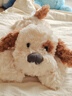 MINISO名创优品柴犬小猪弹力超柔娃娃可爱毛绒玩偶抱枕生日礼物公仔新年 小号软趴趴小狗（棕色） 见详情图 实拍图