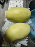 鲜福林现货越南进口玉芒青芒水果当季新鲜甜心芒果大芒果包邮 净重4.5斤(单果200g起) 实拍图