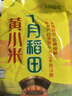 十月稻田 黄小米 1kg 2025新米 赤峰市敖汉旗 米油厚 早餐煮粥 蒸饭软糯 实拍图