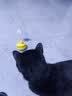 HELLOJOY猫玩具猫咪逗猫棒不倒翁猫薄荷球自嗨解闷神器猫猫小猫幼猫宠物 实拍图