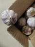 紫白皮蒜水果大蒜超市即食生鲜蔬菜大蒜 【优选】带箱 1斤 单果3.5-5cm 实拍图