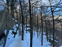 雪伦朵防滑鞋套18齿冰爪冬季户外登山攀岩徒步防滑鞋钉防摔雪地冰面雪爪 橙色（加厚加长.大齿冰爪） M码（36-40）推荐冰面/冰钓/结冰路面 实拍图