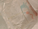 好奇（Huggies）皇家御裤拉拉裤婴儿成长裤小龙裤尿不湿超薄透气 XL64片(12-17kg) 实拍图