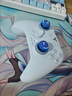 飞智冰原狼4多模版无线游戏手柄 类xbox 力调节摇杆双切扳机 switch电脑PC手机steam体感NS 丝之歌 实拍图