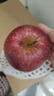 京觅四川大凉山丑苹果 净8斤 单果85mm+ 新鲜水果冰糖心苹果 源头直发 实拍图