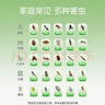 皎洁呋虫胺杀虫剂喷雾蟑螂药蚂蚁跳蚤家用驱虫室内杀爬虫衣鱼虫500ml 实拍图