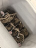 【活蟹】 阳澄易顺大闸蟹 鲜活特大螃蟹公母蟹 水产生鲜年货礼盒 六月黄大闸蟹3.0-3.3两  十只礼盒装 实拍图