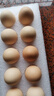 京鲜生鲜鸡蛋10枚/盒 健康轻食 营养健康1斤/盒 源头直发  实拍图