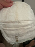 babycare金山茶花拉拉裤XXL30片(>15kg)婴儿尿不湿超薄透气新生柔花苞裤 实拍图
