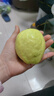 京觅福建奶油芭乐 单果150g起  净重3斤装番石榴 水果  源头直发包邮 实拍图