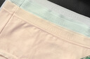 有棵树女士内裤女10A抗菌乳木果润肤呵护无痕隐形速干防滑包臀三角短裤 实拍图