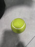 宜特（EETOYS）绿色网球狗狗玩具发声互动可水洗洁齿球宠物用品 实拍图