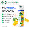 滴露（Dettol）消毒喷雾454ml除臭喷雾鞋子除臭杀菌喷雾马桶消毒柑橘甲流感 实拍图