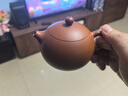 藏壶天下正宗宜兴原矿朱泥西施紫砂壶小容量纯手工茶壶茶具家用泡茶壶 朱泥西施（单壶） 220ml 实拍图