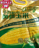 十月稻田 四平黄甜糯玉米 8根 3.52斤 东北黏玉米棒 真空包装 非转基因 实拍图