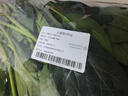 大菠菜300g 实拍图