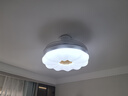 雷士（NVC） 风扇灯餐厅吊扇灯隐形扇叶电风扇灯现代简约卧室客厅餐厅吊灯 怡风智控48W/高显指/1级能效 实拍图